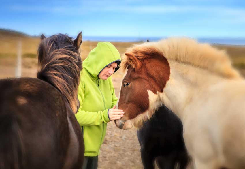 Equine Assisted Learning
