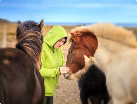 Child connecting with horses during an EAL session
