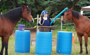 Creating connections with horses